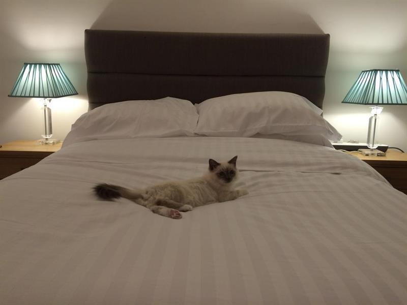 Oyo Oakcroft Guest House Manchester Airport Ringway Екстериор снимка
